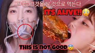 MUKBANG COMPILATION 생 문어를 먹어라 SSOYOUNG EATING ANIMALS ALIVE🐙🦐♡ [upl. by Aklog]