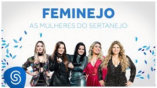 Feminejo As Mulheres do Sertanejo  Mix Sertanejo 2019 [upl. by Cagle]