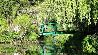 Water lily pond at Claude Monets garden in Giverny France [upl. by Yknarf]