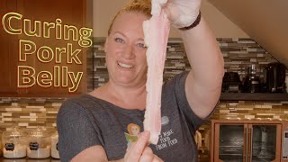 38 Curing Pork Belly for BACON Recipe and instructions [upl. by Ferguson]