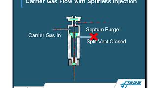 Gas ChromatographyMass Spectrometry GCMS Principles amp Techniques [upl. by Slocum225]