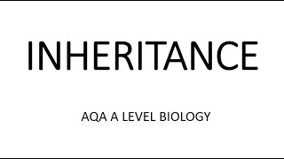 INHERITANCE  AQA A LEVEL BIOLOGY  EXAM QUESTIONS RUN THROUGH [upl. by Haliled]