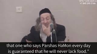 PARSHASHAMONcom Rav Meilich Biderman  quotThe Segulah of Parshas Hamonquot [upl. by Kulsrud]