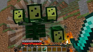 Minecraft Spawning Avocados from Mexico WITHER Shorts [upl. by Lamarre]