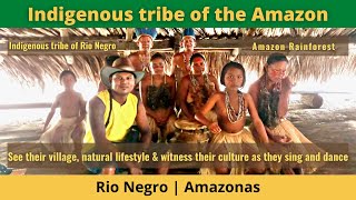 Brazil Travel  Indigenous tribe of the Amazon [upl. by Adnalram]