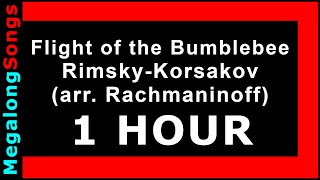 Flight of the Bumblebee  RimskyKorsakov arr Rachmaninoff 🔴 1 HOUR ✔️ [upl. by Eleonore406]