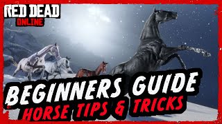 ULTIMATE HORSE GUIDE  Red Dead Online Beginners Guide to Horses [upl. by Witkin443]