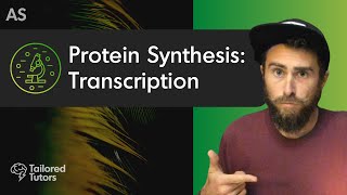 Protein Synthesis Transcription  A Level Biology Revision  AQA [upl. by Lawrenson]