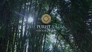 PURIST OGBOI  HEAL OUR LAND Official Video [upl. by Ecam]