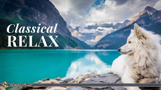 4 Hours Classical Music for Studying Relaxation amp Concentration [upl. by Nanice14]