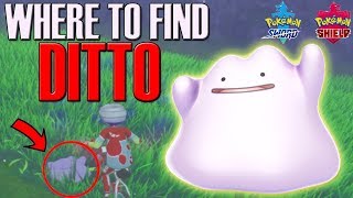 Where to find Ditto in Pokemon Sword amp Shield  Ditto Location [upl. by Laubin]