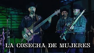 Cuarto De Milla  La Cosecha De Mujeres En Vivo [upl. by Mehs]