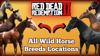 All Wild Horse Breed Locations in Red Dead Redemption 2 [upl. by Carolynne]