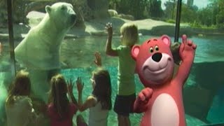 Baby Polar Bears Song  Learn Animals Songs  From Baby Genius [upl. by Analra]