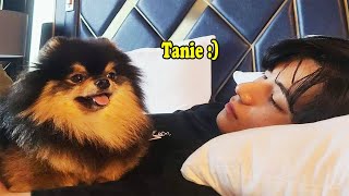 BTS with YEONTAN Dont fall in love with YEONTAN Challenge [upl. by Tania743]