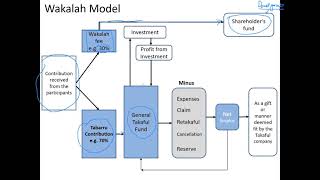 Takaful Models Urdu [upl. by Janka]