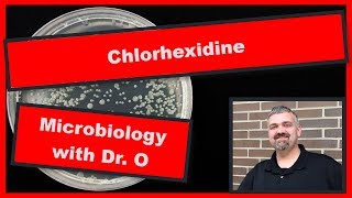 Chlorhexidine Microbiology [upl. by Allx221]