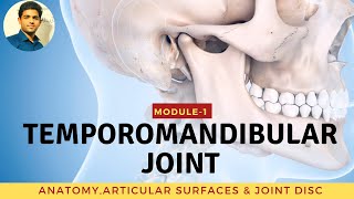 TEMPOROMANDIBULAR JOINT Anatomy amp Biomechanics [upl. by Ednalrym]