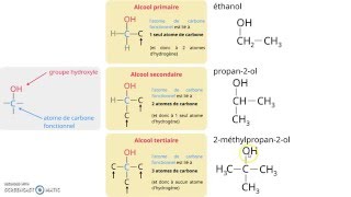 Primaire secondaire tertiaire les classes des alcools [upl. by Nolie178]