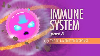 Immune System Part 3 Crash Course Anatomy amp Physiology 47 [upl. by Briano]