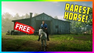 The Dark Bay Turkoman Get It Early amp Free Red Dead Redemption 2 BestHorses RDR2 [upl. by Dinse984]