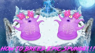 How To Breed Epic Spunge Cold Island My Singing Monsters [upl. by Norraf]