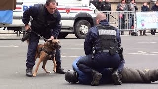 La Brigade Cynophile de la Préfecture de Police de Paris [upl. by Ynafit]