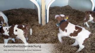 FörsterTechnik Smart Calf System deutsch [upl. by Ecilayram]