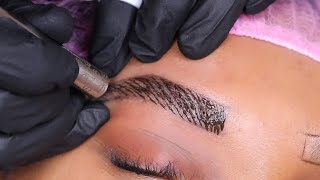 Microblading  The BEST Technique [upl. by Ahtibat]