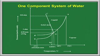 Phase Rule  One Component System [upl. by Dekeles]