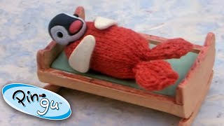 Pingu is Jealous of Pinga  Pingu Official  Cartoons for Kids [upl. by Nanette]