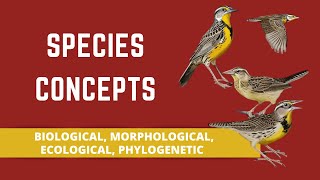 SPECIES CONCEPTS BIOLOGICAL MORPHOLOGICAL ECOLOGICAL PHYLOGENETIC [upl. by Tteltrab]