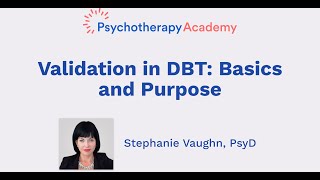 Validation in DBT Basics and Purpose [upl. by Kenward]