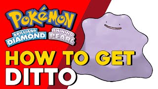 Pokemon Brilliant Diamond amp Shining Pearl How To Get Ditto Pokemon BDSP [upl. by Linehan]