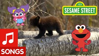 Sesame Street Dance Like a Bear  Animal Dance 4 [upl. by Boiney]