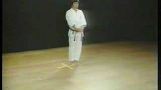 Bassai Dai  Shotokan Karate [upl. by Raymund137]