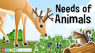 What do animals need to live grow and stay healthy [upl. by Ydnic]