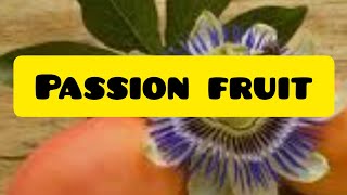 Bluecrown Passion Flower Fruit [upl. by Ambrosio232]