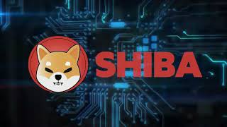 SHIBA COIN  HOW TO BUY IT [upl. by Terrie]