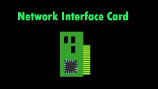 What does a Network Interface Card do NIC [upl. by Un109]