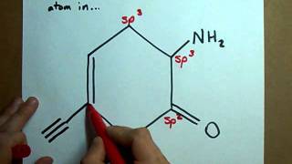 What is the hybridization of each atom in this molecule [upl. by Kcuhc45]