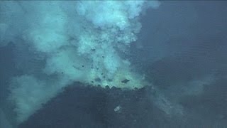 Underwater Vents and Volcanoes [upl. by Meagan197]