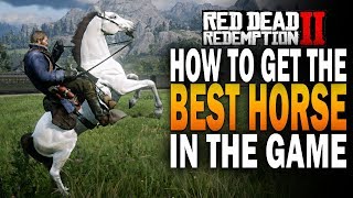 How To Get THE BEST Horse In The Game The Rare Arabian Red Dead Redemption 2 RDR2 [upl. by Anawait]