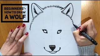 Beginners  How To Draw A Wolf [upl. by Rajiv167]