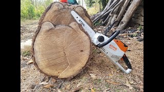 STIHL MSA 140 CBQ Battery Chainsaw Cutting Logs  REVIEW  TEST [upl. by Terina]