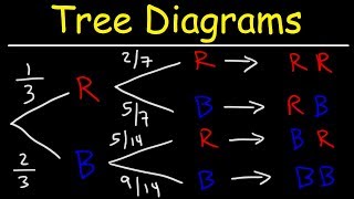 Probability Tree Diagrams [upl. by Icam723]