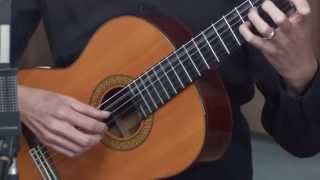 Classical Guitar Lesson 1 [upl. by Nivlek]