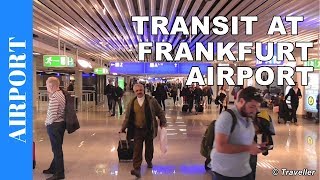 TRANSIT WALK AT FRANKFURT Airport FRA Terminal 1  Connection Flight Transfer Arriving amp Departing [upl. by Ecallaw]