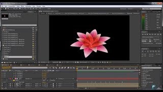 Lotus blooming Animation After Effect tutorial amp Template [upl. by Ernest793]