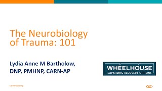 The Neurobiology of Trauma 101 24 [upl. by Rafaello]